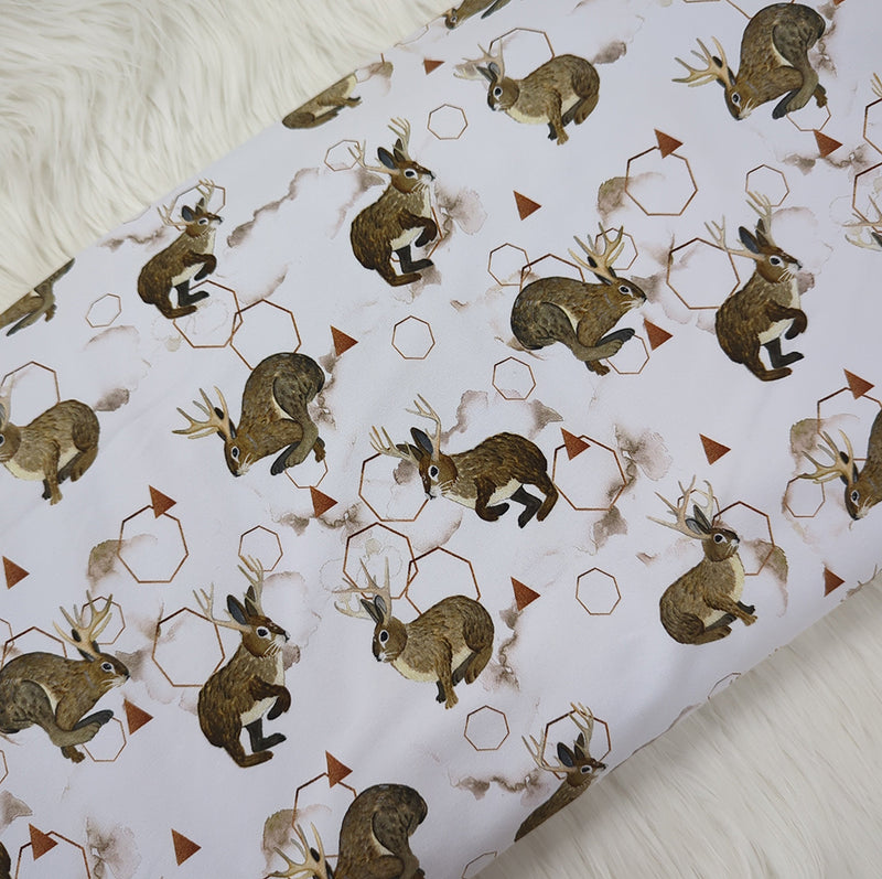 jackalope
