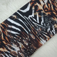 Zebra Safari