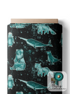 Dernière précommande - Black Artic
