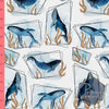 Dernière précommande - BlueBaleines