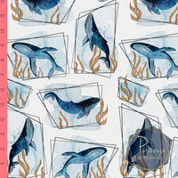 Dernière précommande - BlueBaleines