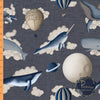 Dernière précommande - Ciel de mer