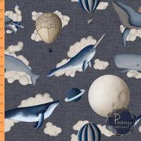 Dernière précommande - Ciel de mer