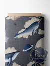 Dernière précommande - Ciel de mer