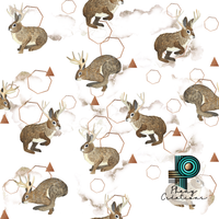 Dernière précommande - Jackalope