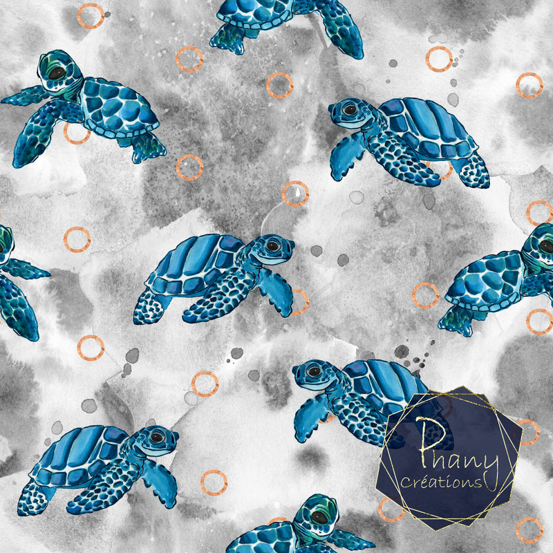 Dernière précommande - Petite tortue